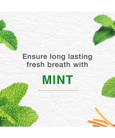 Himalaya Herbals Mint Fresh Toothpaste - Gum Expert 75ml | Healthy Gums & Fresh Breath - Buy Online on GoSupps.com