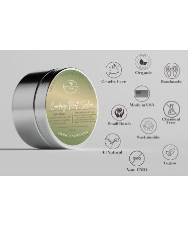 Comfrey & Castor Oil Salve -1oz- Vegan Friendly - Aches Sprains Sore Muscles Joints Minor Pain - Natural Healing Balm 1 Ounce (Pack of 1) 1.0 - Buy Online on GoSupps.com