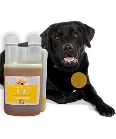 Linseed Oil Barf Oil for Dogs Cats Barf Oil Omega 3 & 6 I Food Oil + Vitamin EI Food Supplement Rich in Omega 3 Omega 6 Fatty Acids without Additives I Coat Skin Energy 0.25l - Buy Online on GoSupps.com
