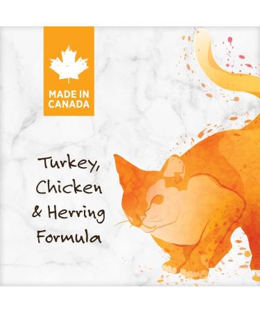 Nutrience Grain Free Turkey Chicken & Herring Formula - 5 kg (11 lbs) Bag - Buy Online on GoSupps.com