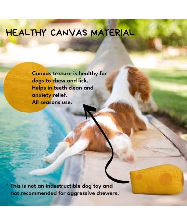 ChewFon Dog Toys - Plush Squeaky Birthday Gifts for All Dog Sizes | Fun & Cute Chew Toys - Buy Online on GoSupps.com