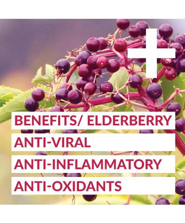 goodvibes juice co. Get Well | Natural Wellness Shot | Elderberry Ginger Hibiscus Lemon Maple Cayenne | Antioxidants Immunity Decongestion | Vegan Gluten Free | 50mL Pouch (Pack of 24) - Buy Online on GoSupps.com