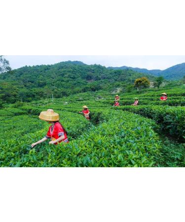 250g chinois Lapsang Souchong th noir Wu yi th rouge abaisse la th noir th chinois - Buy Online on GoSupps.com
