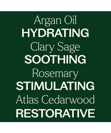 Plant Therapy Hair Therapy Leave In Smooth & Grow Spray 8 oz - Smooth Soften & Detangle | Paraben & Synthetic Fragrance Free - Shop Internationally - Buy Online on GoSupps.com