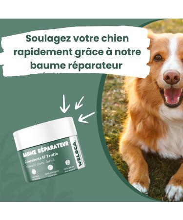 Dog Pad Balm - Repairs hydrates protects - Healing power for damaged dry or cracked pads - Pad and nose protection cream - 100% Natural - 50 ml - Made in France - Buy Online on GoSupps.com