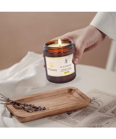 TTRWIN Fir & Cedarwood Scented Candle 200g | Long Lasting Wooden Fragrance | Natural Soy Wax | Aromatherapy Gift for Christmas & Mother's Day - Buy Online on GoSupps.com