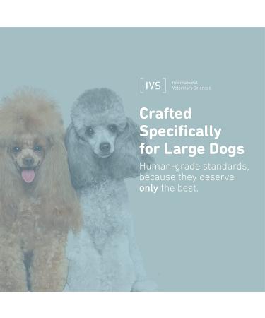 Arthramine Glucosamine for Large Dogs - 60 Chewable Tablets | International Veterinary Sciences - Buy Online on GoSupps.com