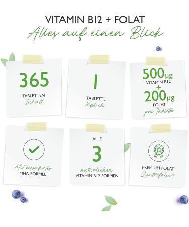 Vitamin B12 Complex - 365 Vegan Tablets | 500 g B12 + 200 g Folic Acid | Methylcobalamine Adenosylcobalamine Quatrefolic  - Buy Online on GoSupps.com