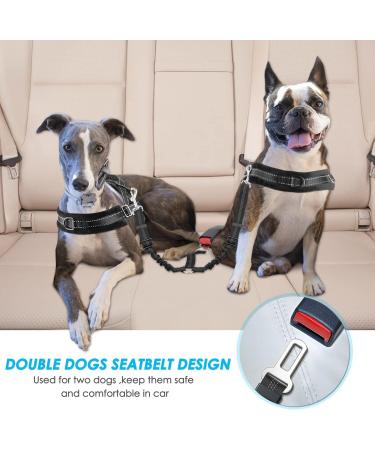 Lukovee Reflective Double Car Seatbelt for 2 Dogs | Adjustable Anti-Shock Bungee Buffer | Safety Travel Belt for Medium Dogs | Black - Buy Online on GoSupps.com