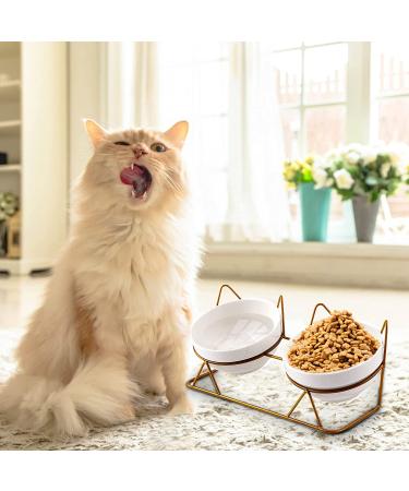 Trosetry Cat Bowls - Double Ceramic Pet Bowls with Raised Tilted Stand for Food and Water - Anti Vomiting Cat Feeder - Ideal for Puppy Cats and Small Dogs - Buy Online on GoSupps.com