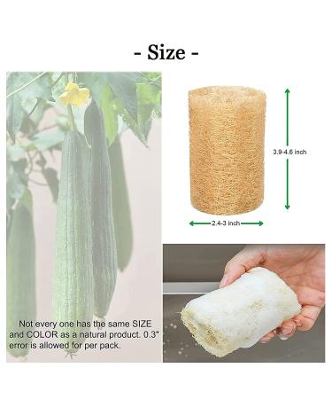 Natural Loofah Sponge Shower Exfoliating Bath Body Scrubber - 6pcs - Buy Online on GoSupps.com