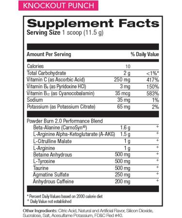 Rival Powder Burn 2.0 Pre-Workout Powder | Intense Pre Workout Energy Supplement | 7g Performance Blend Increased Energy Muscle Pumps Stamina Focus | 35 Servings (Knockout Punch) Knockout Punch 35 Servings (Pack of 1) - Buy Online on GoSupps.com
