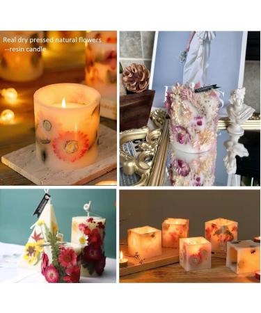 Real Pressed Dry Flowers for Resin Jewelry Molds - Colorful DIY Crafts with Tweezers - Buy Online on GoSupps.com