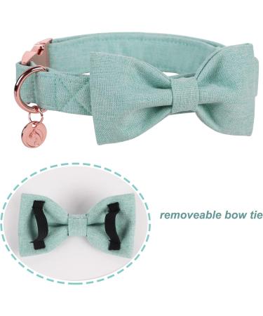 Dogwong Green Pet Collar - Adjustable Comfortable Dog Collar with Removable Fly for Small & Medium Dogs - Perfect Gift for Girls - Pack of 1 - Buy Online on GoSupps.com