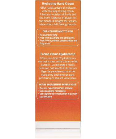 Weleda Sanddorn Hand Cream 50ml Nourishing Moisturizer for Soft Hands | Shop Internationally - Buy Online on GoSupps.com