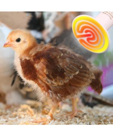 Dernord 50W E27 Heating Lamp - Ceramic Heat Emitter for Reptiles Turtles & Chicks | Outdoor Heating Spotlight - Buy Online on GoSupps.com