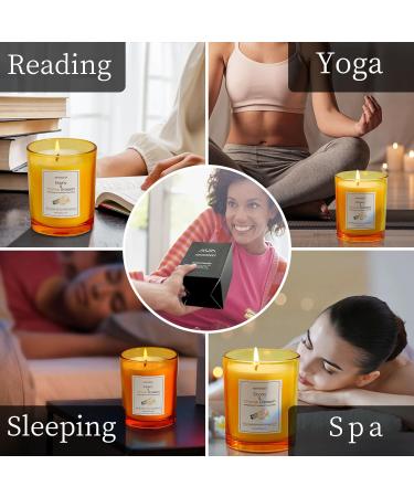 7OZ Ebony Orange Blossom Scented Candle - Aromatherapy Soy Wax Candle for Home | Long Lasting 50h | Perfect Anniversary Gift - Buy Online on GoSupps.com