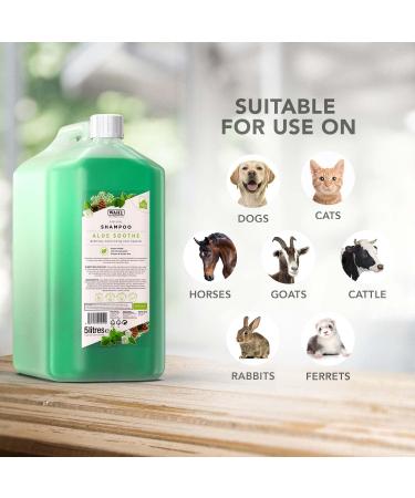 Wahl Showman Aloe Soothing Shampoo 5L - Clear & Unisex | WHL0092 - Best International Shipping - Buy Online on GoSupps.com