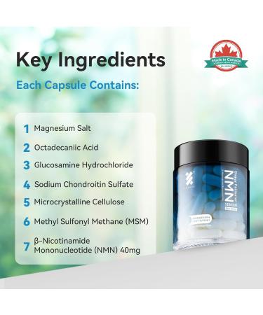 NMN Supplement for Dogs Pet Essentials NAD+ Supplement Alternative-Supports Cellular Longevity Strengthens Immune System Joint and Hip Support Energy Metabolism-60 Capsules (Large Dog) - Buy Online on GoSupps.com