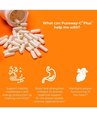 Jigsaw Health Pureway-C Plus 120 Capsules | L-Lysine & Quercefit Immunity Support - Buy Online on GoSupps.com