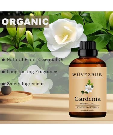 Gardenia Essential Oils 60ML Pure and Natural Essential Oil for Aromatherapy Diffuser - 2 Fl Oz (120 Gardenia) - Buy Online on GoSupps.com
