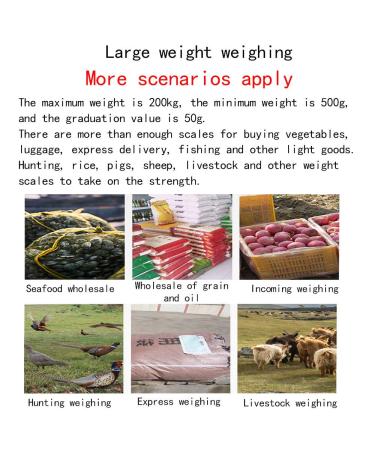Hanging Weight Scale Industrial Heavy Duty for Farm  Hunting  Bow Draw Weight  Big Fish & Hoyer Lift with Accurate Sensor Digital  Professional (660 LBS)2 - Buy Online on GoSupps.com