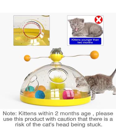 AOCCIT Interactive Cat Toy - Indoor Kitten Teaser Supplies for Enrichment and Playtime | Birthday Gift Cat Treasure Chest - B - Buy Online on GoSupps.com