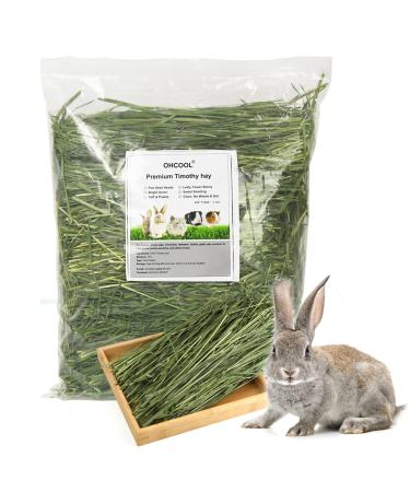 OHCOOL Timothy Hay 500g - Dust Free Natural Green Fresh Food Hay for Rabbits Tortoise Guinea Pig Chinchilla Timothy Hay 500g 500 g (Pack of 1)