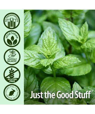 PERIOBRITE Activated Charcoal Toothpaste (Pack of 3) 4 oz. Nature's Answer Tooth Whitening Plaque Removing Peppermint Flavored Stain Remover | Fluoride Free - Buy Online on GoSupps.com