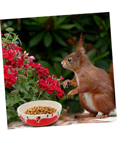 COLLBATH Hamster Food Bowl Rabbit Supplies Rabbit Feeder Bunny Water Bowl Hamster Water Bowl Ceramic Small Animal Dishes Pottery Pet Dish Guinea Pig Dish Guinea Pig Feeder Hamster Bowl Red - Buy Online on GoSupps.com