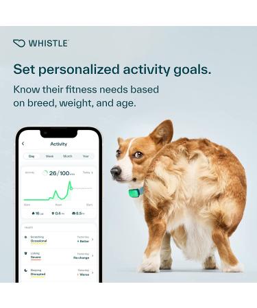 Whistle Health Smart Device for Dogs | Fitness & Activity Tracker - Green - Buy Online on GoSupps.com