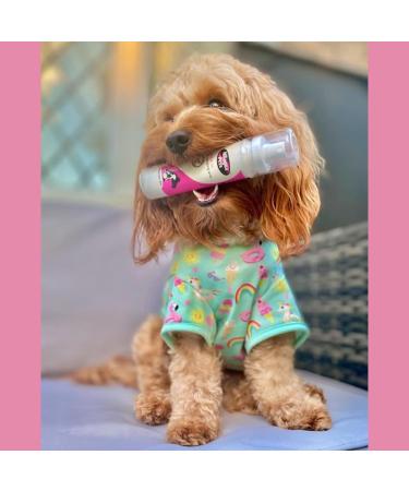 Nilaqua Pets Leave-In Detangling Spray for Dogs 100ml - Dog Detangler Spray Dematting Spray and Leave-In Conditioner for Dogs - Vegan Silicone-free and Fragrance-free - Buy Online on GoSupps.com