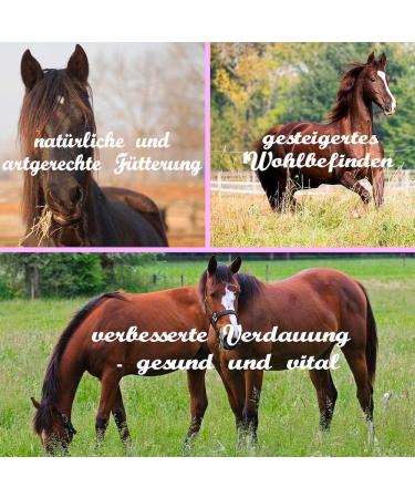 Buy 3x Heunetz Horses Tightly Mesh Feeding Network - 3 Free Carabiners | Enhanced Digestion & Well-Being for Animals - 4.5 kg Dark Blue Hay Grass Food Sack - Buy Online on GoSupps.com