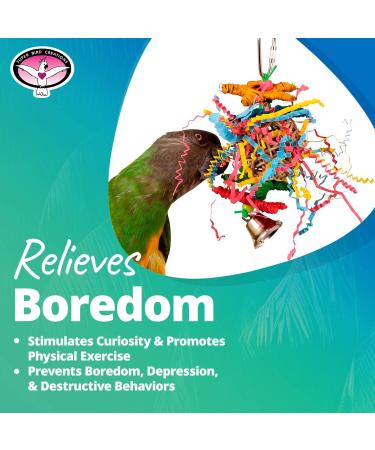 Super Bird Creations SB541 Crinkle Little Star Bird Toy - Small Bird Size 6 x 2 - Varies - Buy Online on GoSupps.com