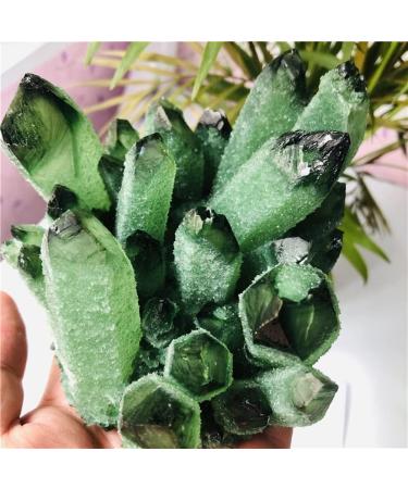 Specimen Natural Green Ghost Phantom Quartz Crystal Cluster Rock Stones and Crystals ReikiSpecimen Home DecorStone Crystal Cluster (Size : 400-500g) - Buy Online on GoSupps.com