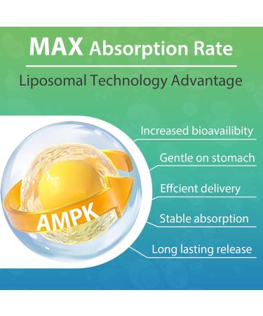 AMPK Activator Supplement 2000mg- Liposomal Technology - High Absorption Berberine DIM Resveratrol Quercetin Milk Thistle Cinnamon- 60 Softgels for Energy & Cellular Support 60 Count (Pack of 1) - Buy Online on GoSupps.com