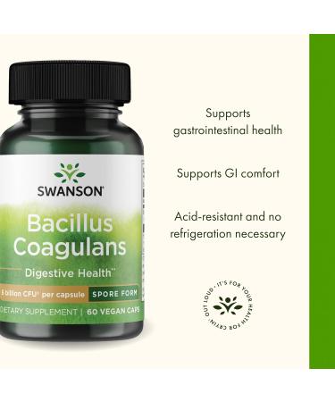 Swanson Bacillus Coagulans - Natural Probiotic Supplement Supporting Digestive Health w/ 6 Billion CFU - May Support GI & Overall Gut Health - (60 Veggie Capsules) 60 Count (Pack of 1) - Buy Online on GoSupps.com