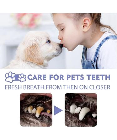 (100% 5 star) Pet Clean Teeth Cleaning Spray Pet Teeth Cleaning Spray Teeth Cleaning Spray for Dogs Pet Oral Spray Clean Teeth Pet Breath Freshener Oral Spray Pet Oral Spray Pet Oral Spray Clean Spray Petry Teeth Cleaning Spray Petry Oral Spray for Dogs & - Buy Online on GoSupps.com