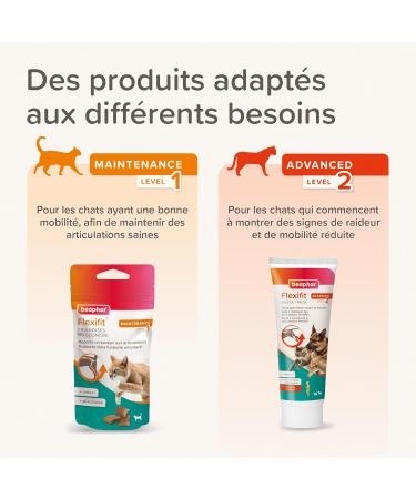 BEAPHAR Flexifit Joint Treats for Cats Contains vitamins glucosamine and essential fatty acids Provides joint support Highly palatable Level 1 35g - Buy Online on GoSupps.com