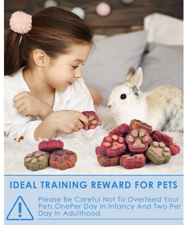 Bissap 20PCS Bunny Chew Toys - Natural Timothy Hay Rose Carrot Fruit Chinchillas Chewing Treats for Rabbits, Guinea Pigs, Hamsters - Small Animal Molar Snacks - Buy Online on GoSupps.com