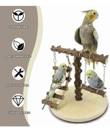 Wishesmar WellensiTich Vogel Playground with Toys - Climbing Swing for Parrots 22x22x21.5 cm - International Shipping - Buy Online on GoSupps.com
