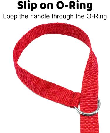 Downtown Pet Supply 6ft Dog Kennel Slip Lead Leash - Veterinarian Approved for Grooming, Daycare & Rescue - Bulk Pack of 6 Thick Leashes for Dogs - Buy Online on GoSupps.com