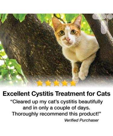 Transforme Cystassist Feline Urinary Tract Supplement Support for Cats of All Ages 45 Capsules - Buy Online on GoSupps.com