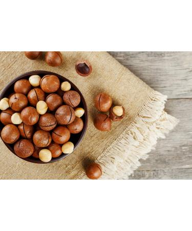 Buy 1001 Fruit Macadamia Nuts Unsalted 250g | Natural Raw Nuts from Australia | Additive-Free Whole Nuts | Healthy Snack Option - Buy Online on GoSupps.com