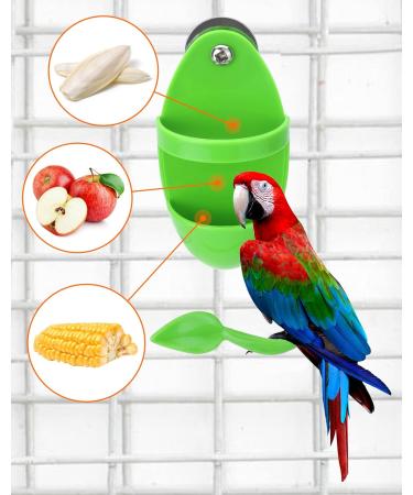 QWORK 2Pcs Parrot Cuttlebone Holder with Perch Stand Bird Feeder Station for Bird Food Supplies Vegetable Fruit Container - Buy Online on GoSupps.com