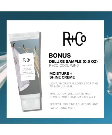 R+Co Television Perfect Hair Shampoo & Conditioner Set | 8.5 Oz + Cool Wind pH Travel Size | Vegan Cruelty-Free Body Shine & Smoothing for All Hair Types - International Shipping Available - Buy Online on GoSupps.com