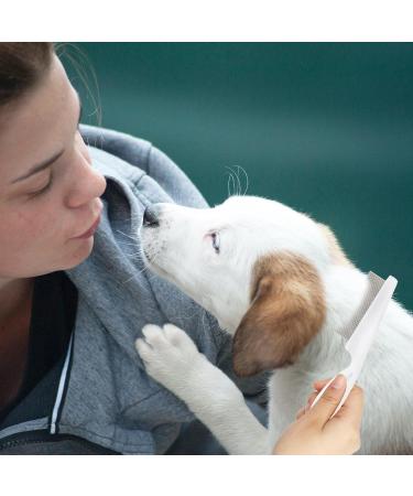 Blmhtwo 2-Piece Flea Comb for Cats & Dogs - Professional Fine-Toothed Pet Care Comb for Flea Tick and Stain Removal - Buy Online on GoSupps.com