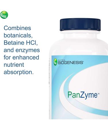 Nutra Biogenesis PanZyme - Betaine HCL with Pepsin Pancreatin Lipase and Protease Cellular Energy Nervous System and Metabolic Health Support - 180 Capsules - Buy Online on GoSupps.com