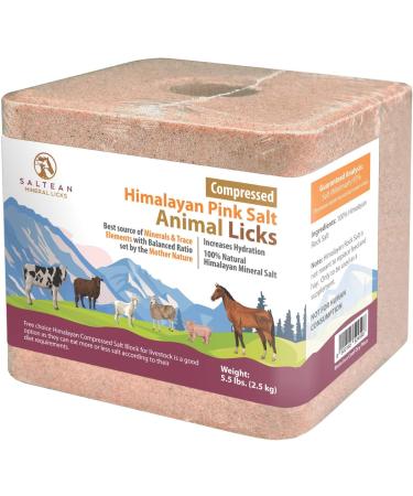 SALTEAN 2.5kg Compressed Himalayan Pink Salt Lick with Rope - Natural Salt from Salt Range Pakistan - Buy Online on GoSupps.com