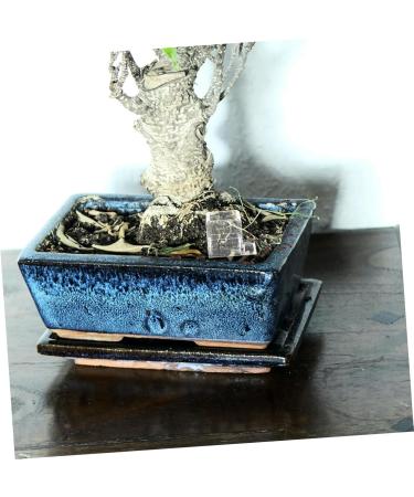 Balacoo 4pcs Pet Water Feeder Ants Farm Accessory Ants Drinking Bowls Ant Feeding Bowl Insect Feeder Plastic - Buy Online on GoSupps.com